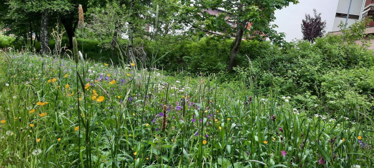 Ferienwohnung Seelust Schluchsee Kültér fotó