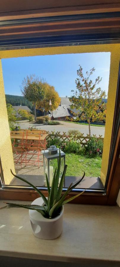 Ferienwohnung Seelust Schluchsee Kültér fotó